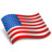 USA Flag Icon